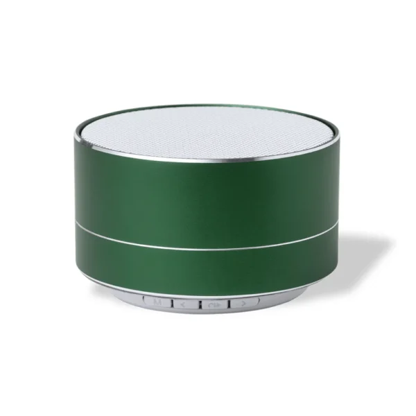 Haut-Parleur Skind – Vert