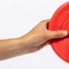 Frisbee Girud