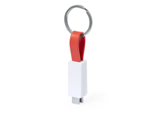 Câble de Charge Parets