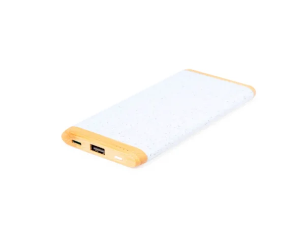 Power Bank Coquin