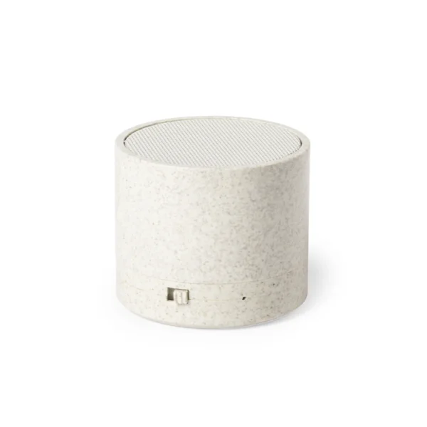 Haut-Parleur Cayren