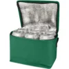 Sac isotherme Spectrum non tissé recyclé GRS de 4L pour 6 canettes – Vert